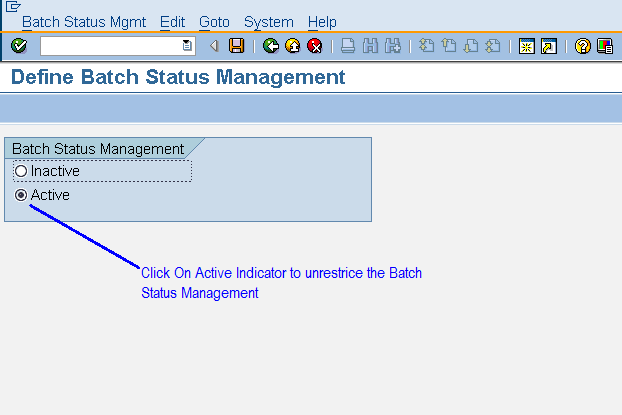 Sap Activate Batch Management